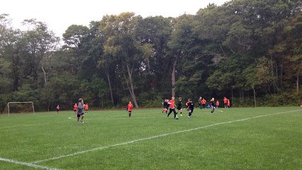 Soccer Field image 1