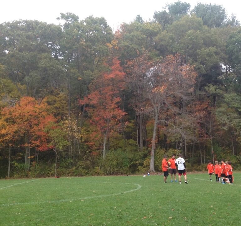 Soccer Field image 2