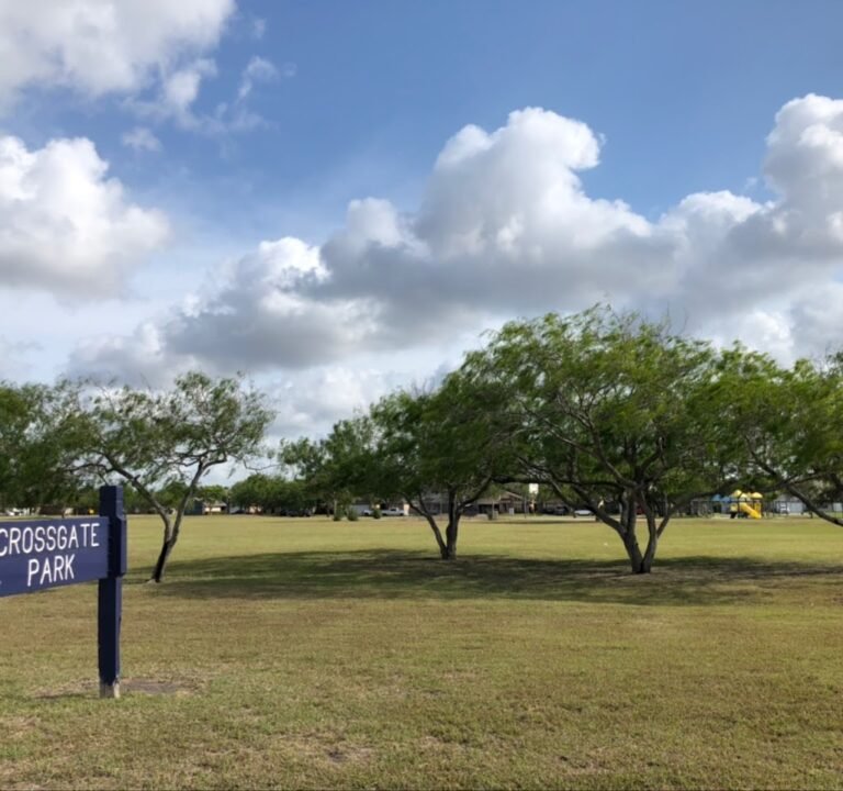 Soccer Field image 2