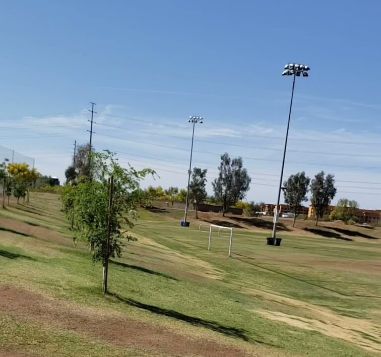 Soccer Field image 3