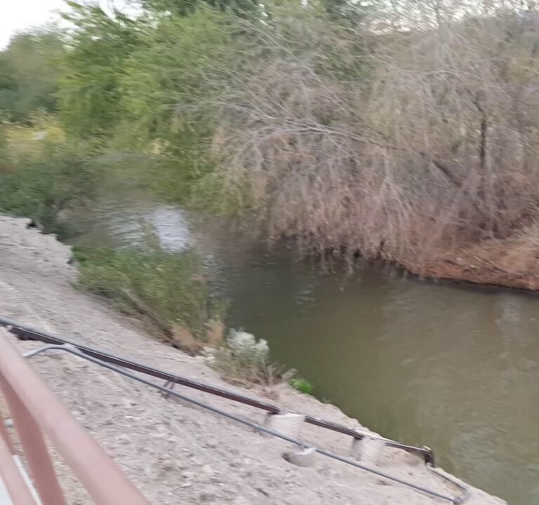 Soccer Field image 3