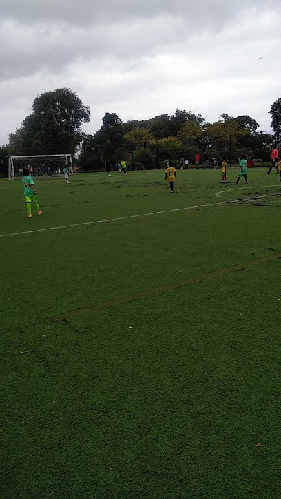 Soccer Field image 1