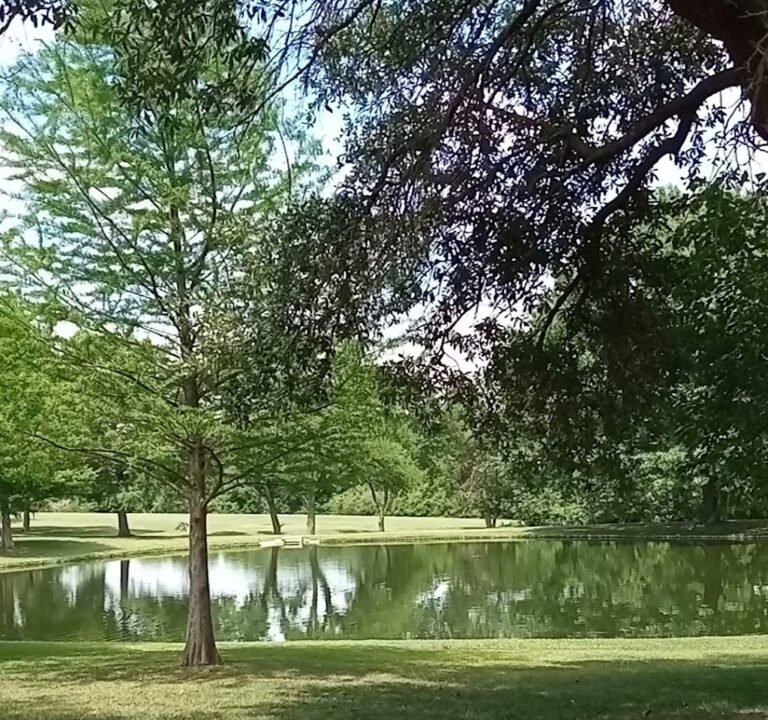 Soccer Field image 3