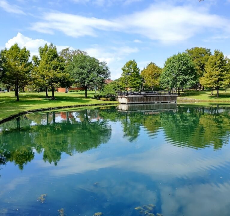 Soccer Field image 2