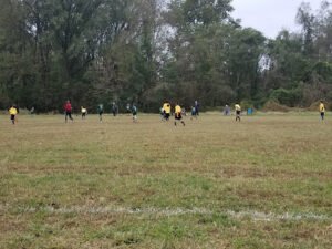 Soccer Field image 1