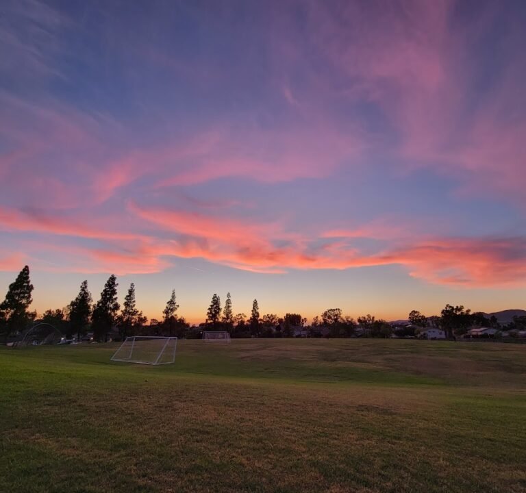 Soccer Field image 2