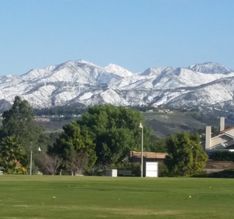 Soccer Field image 4