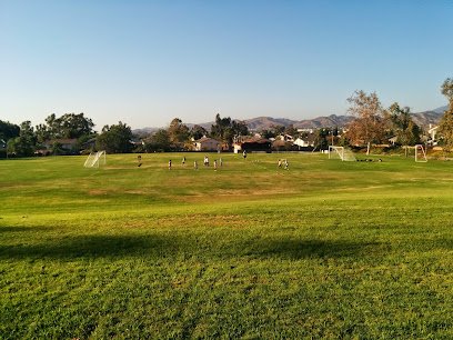 Soccer Field image 1