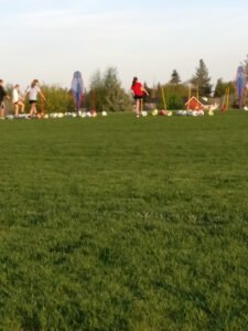 Soccer Field image 1