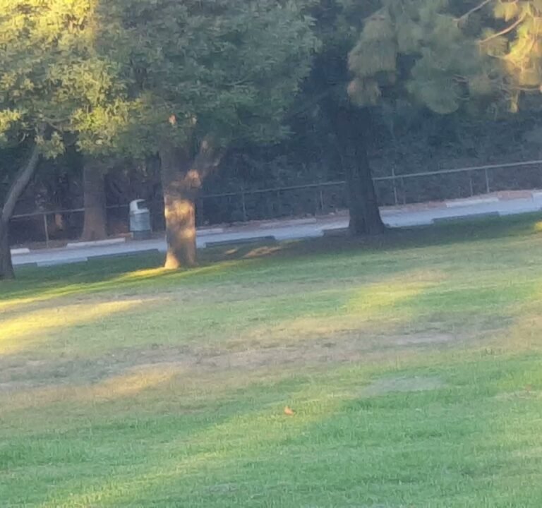 Soccer Field image 4