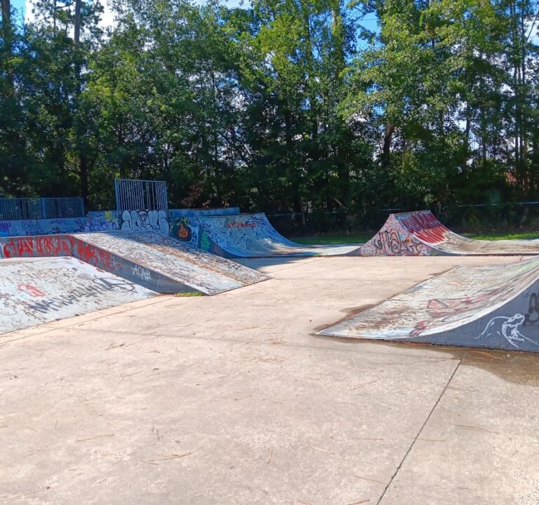 Soccer Field image 2