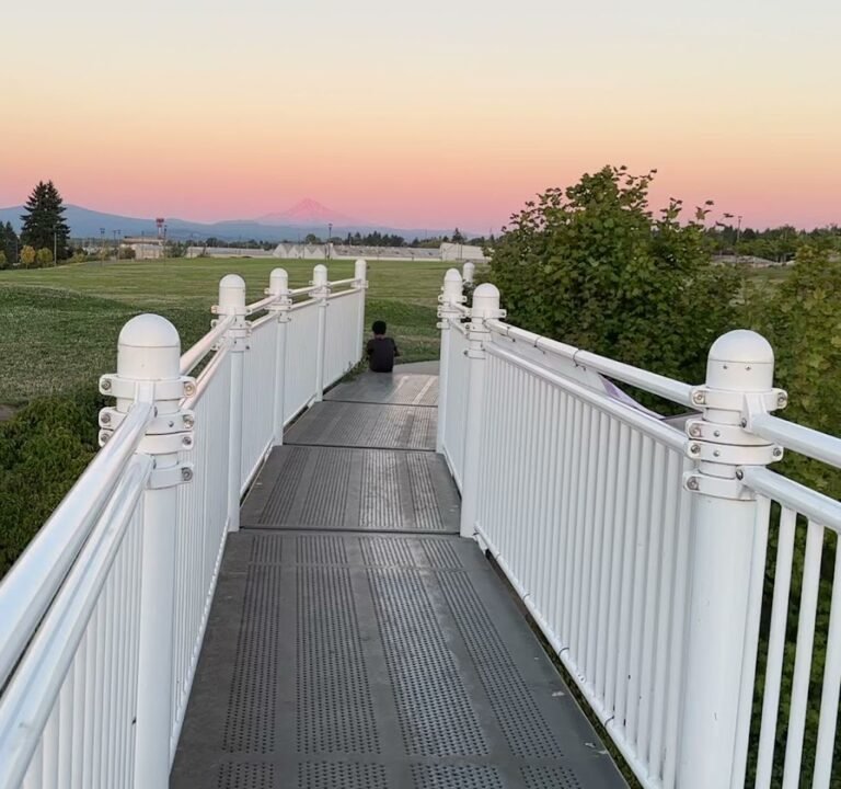 Soccer Field image 4