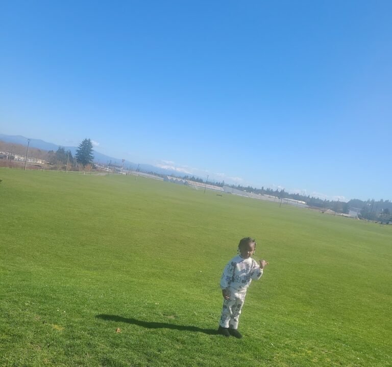 Soccer Field image 3