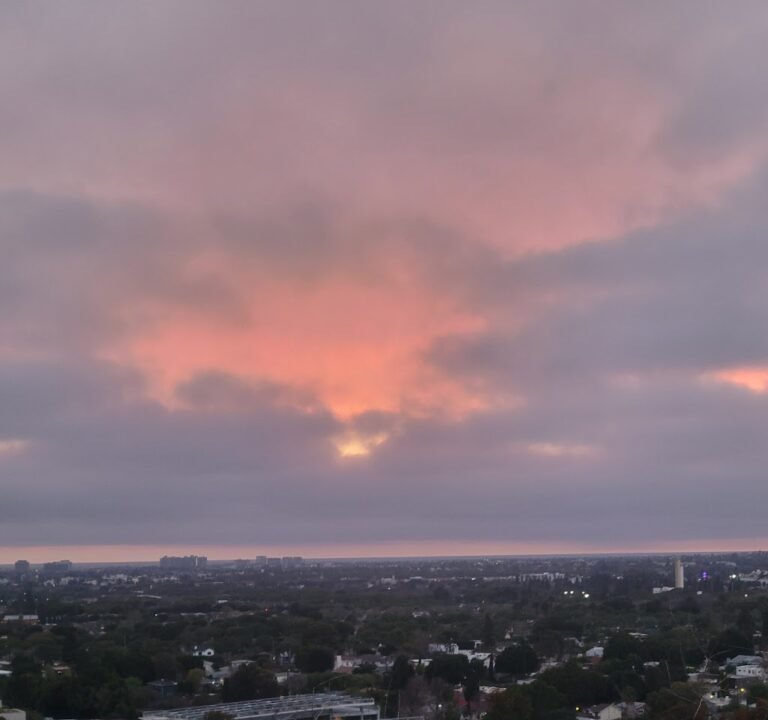 Soccer Field image 3