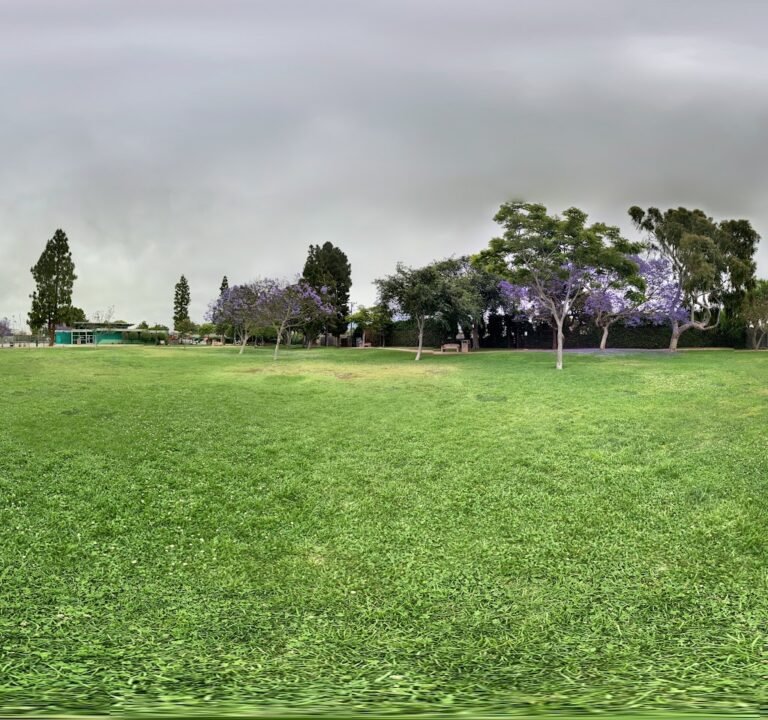 Soccer Field image 3