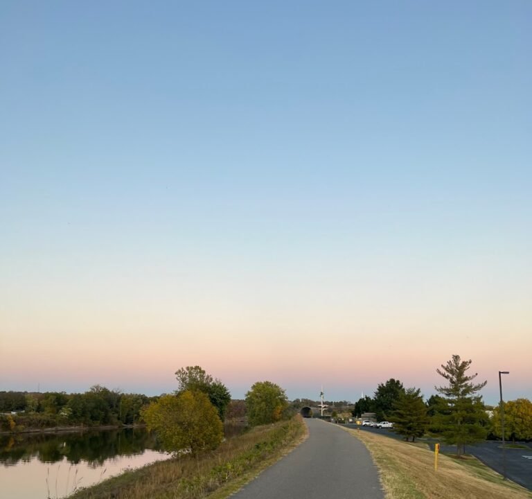Soccer Field image 2