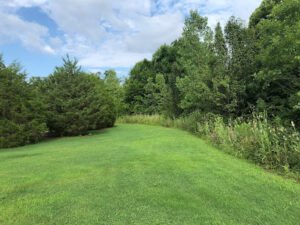 Soccer Field image 1
