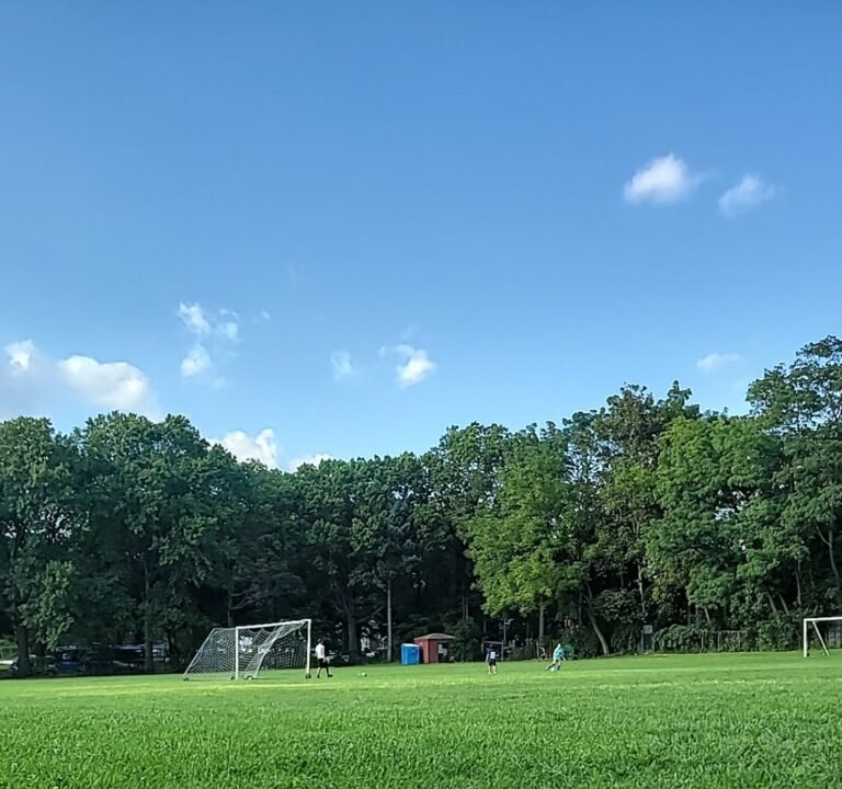 Soccer Field image 2