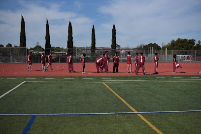 Soccer Field image 1