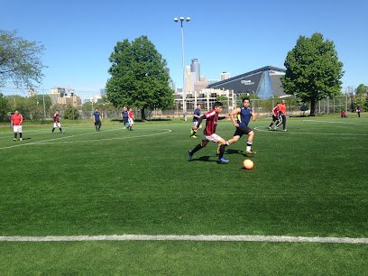 Soccer Field image 1