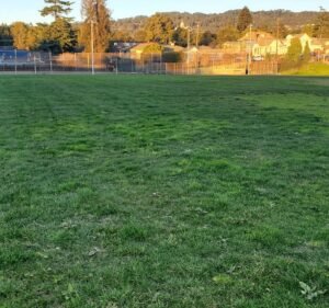 Soccer Field image 2
