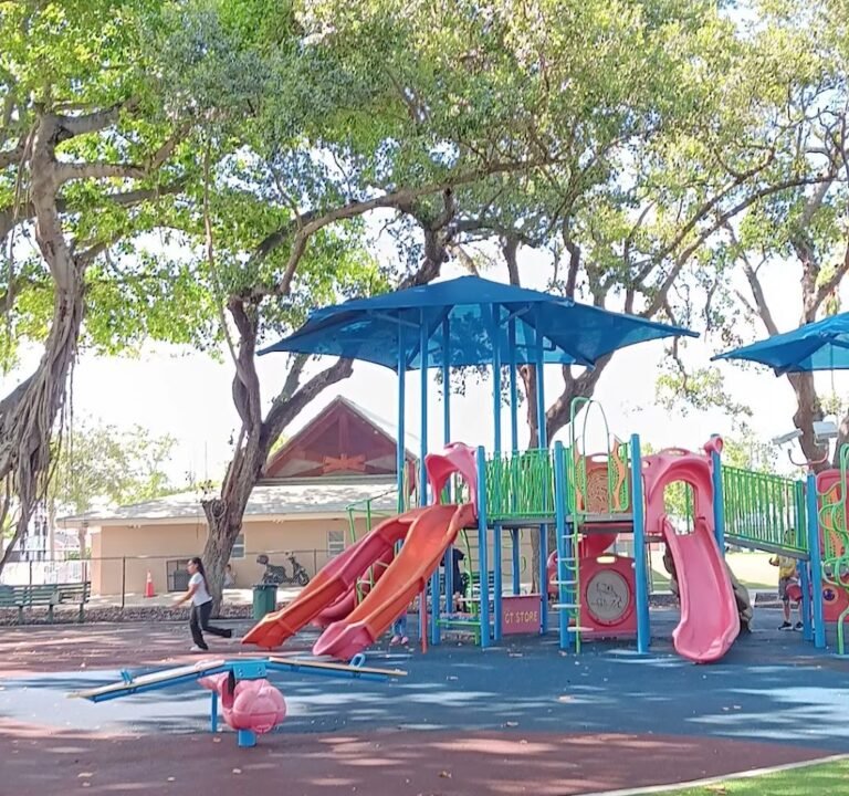 Soccer Field image 4