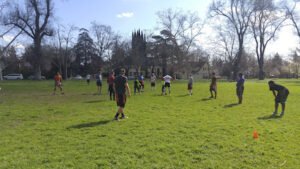 Soccer Field image 1