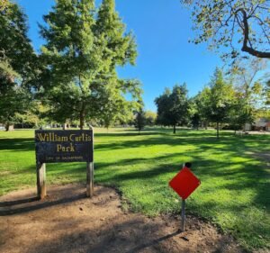 Soccer Field image 2