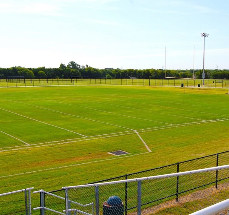 Soccer Field image 2