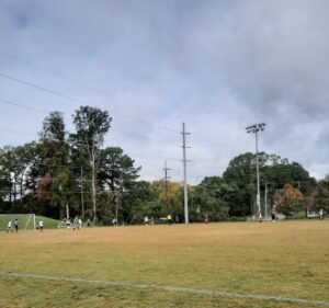 Soccer Field image 2