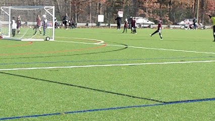 Soccer Field image 1