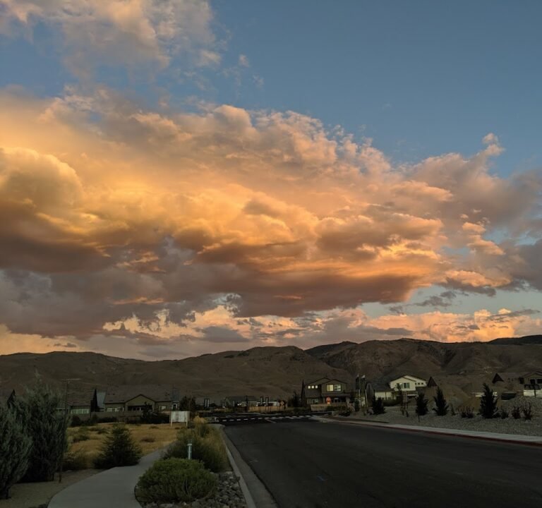 Soccer Field image 2