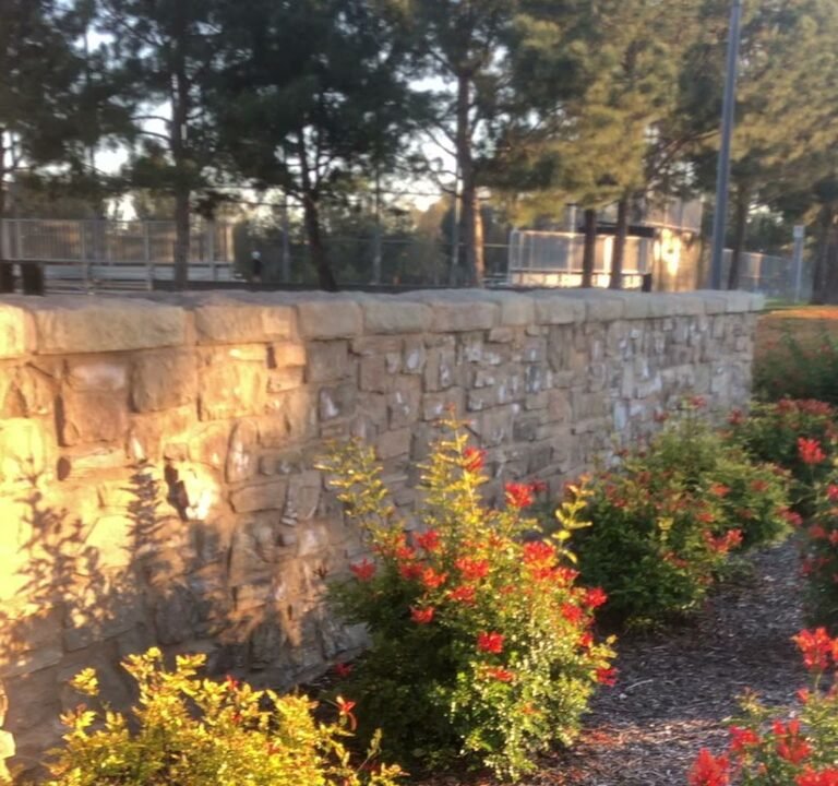 Soccer Field image 3