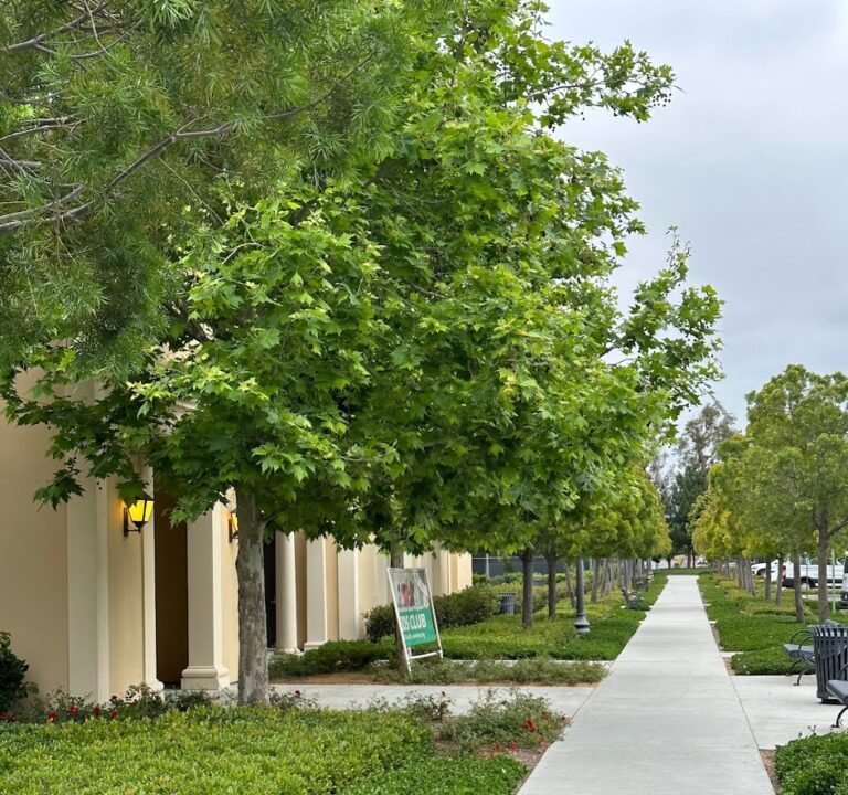 Soccer Field image 2