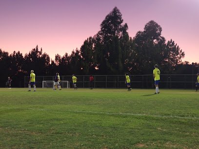 Soccer Field image 1