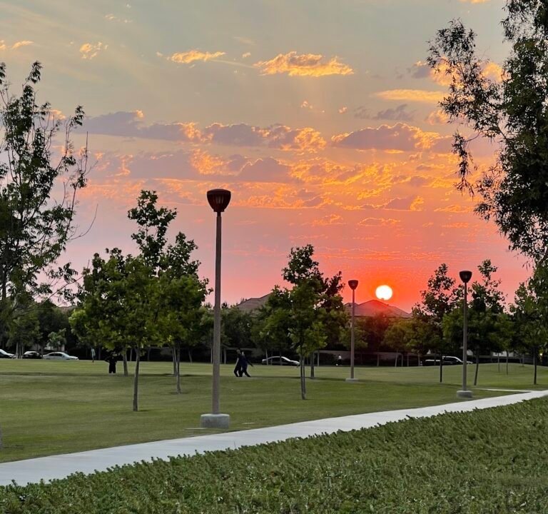 Soccer Field image 3