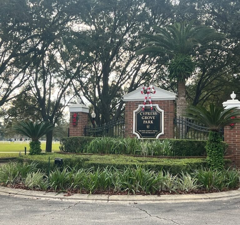 Soccer Field image 2