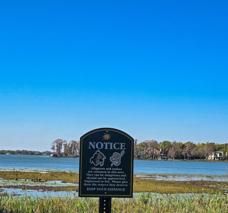 Soccer Field image 3