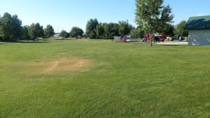 Soccer Field image 1