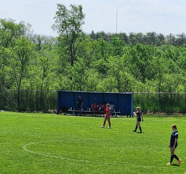 Soccer Field image 2