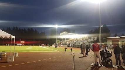 Soccer Field image 1