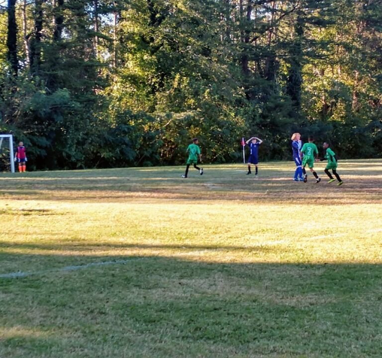 Soccer Field image 2