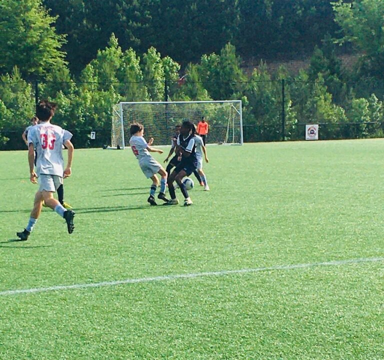 Soccer Field image 3