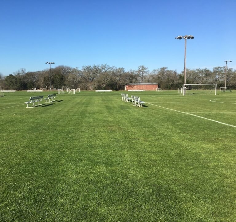 Soccer Field image 2