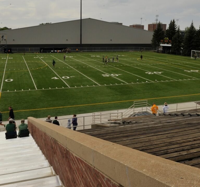 Soccer Field image 3