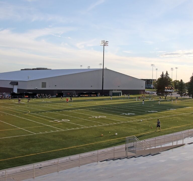 Soccer Field image 2