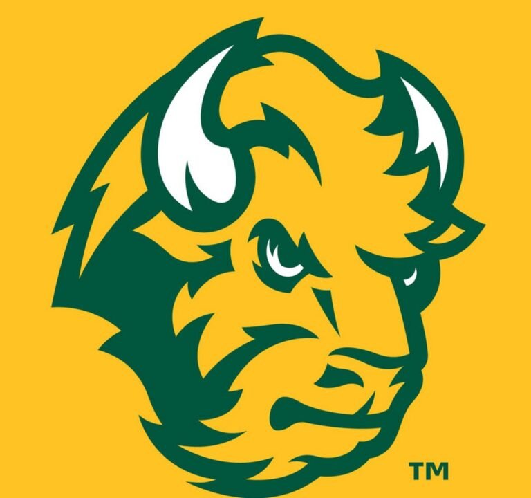 Soccer Field image 4