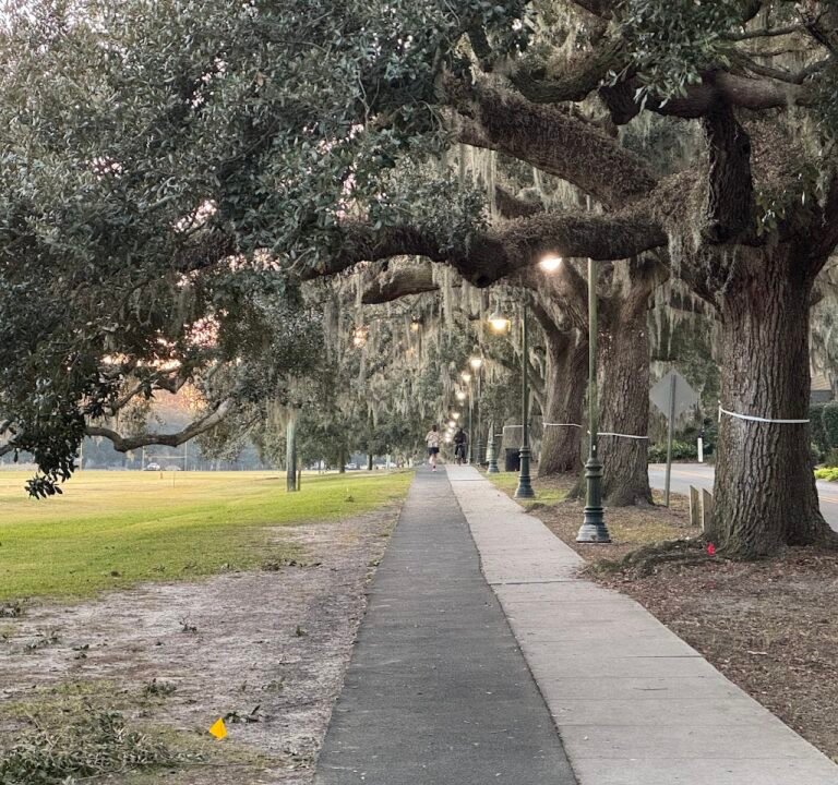 Soccer Field image 2