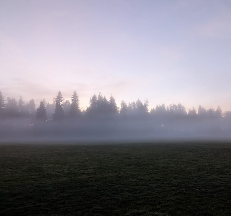 Soccer Field image 3