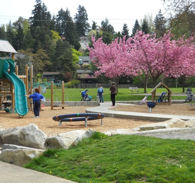 Soccer Field image 2